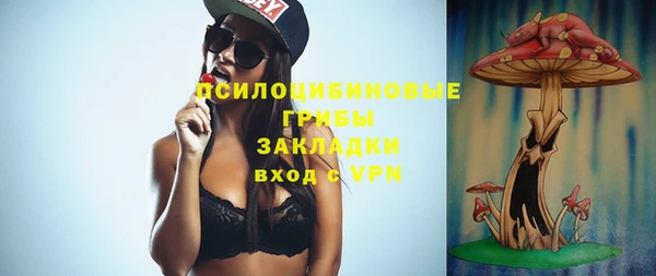 дурь Лагань