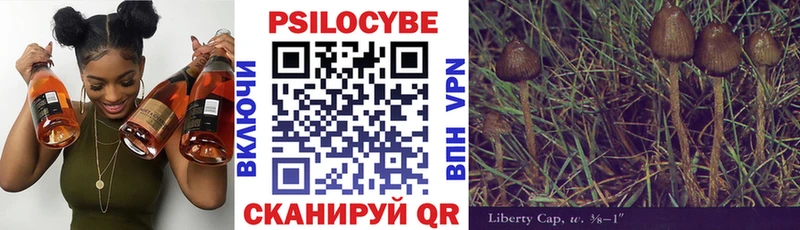 Купить где  Саров  Галлюциногенные грибы MAGIC MUSHROOMS 